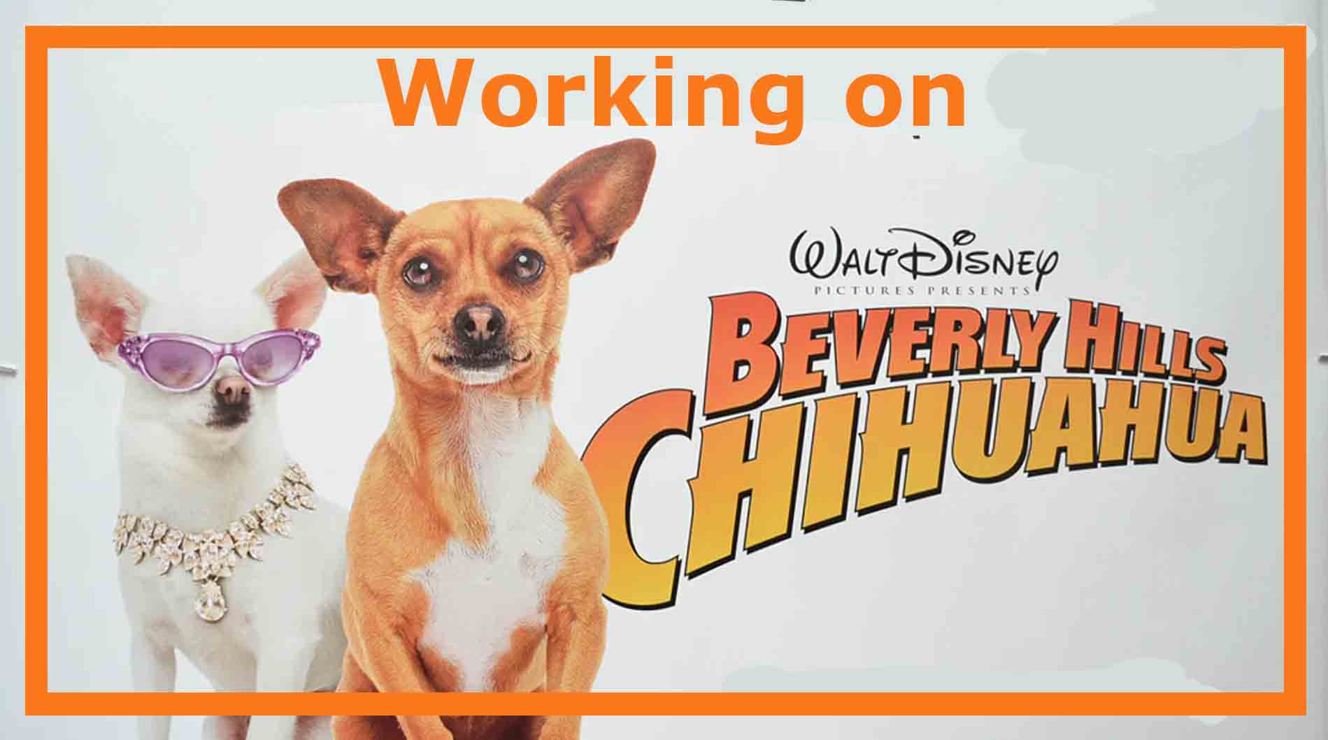 Best beverly hills dog Factory Sale, image size:1899x1059